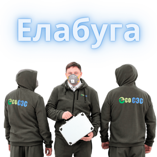 Команда ЭкоСЭС